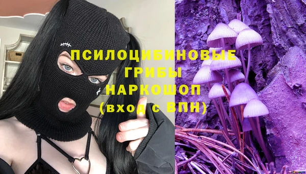 мет Белокуриха
