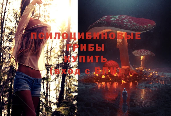 мет Белокуриха