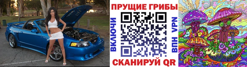 Псилоцибиновые грибы мицелий  продажа наркотиков  Сковородино 
